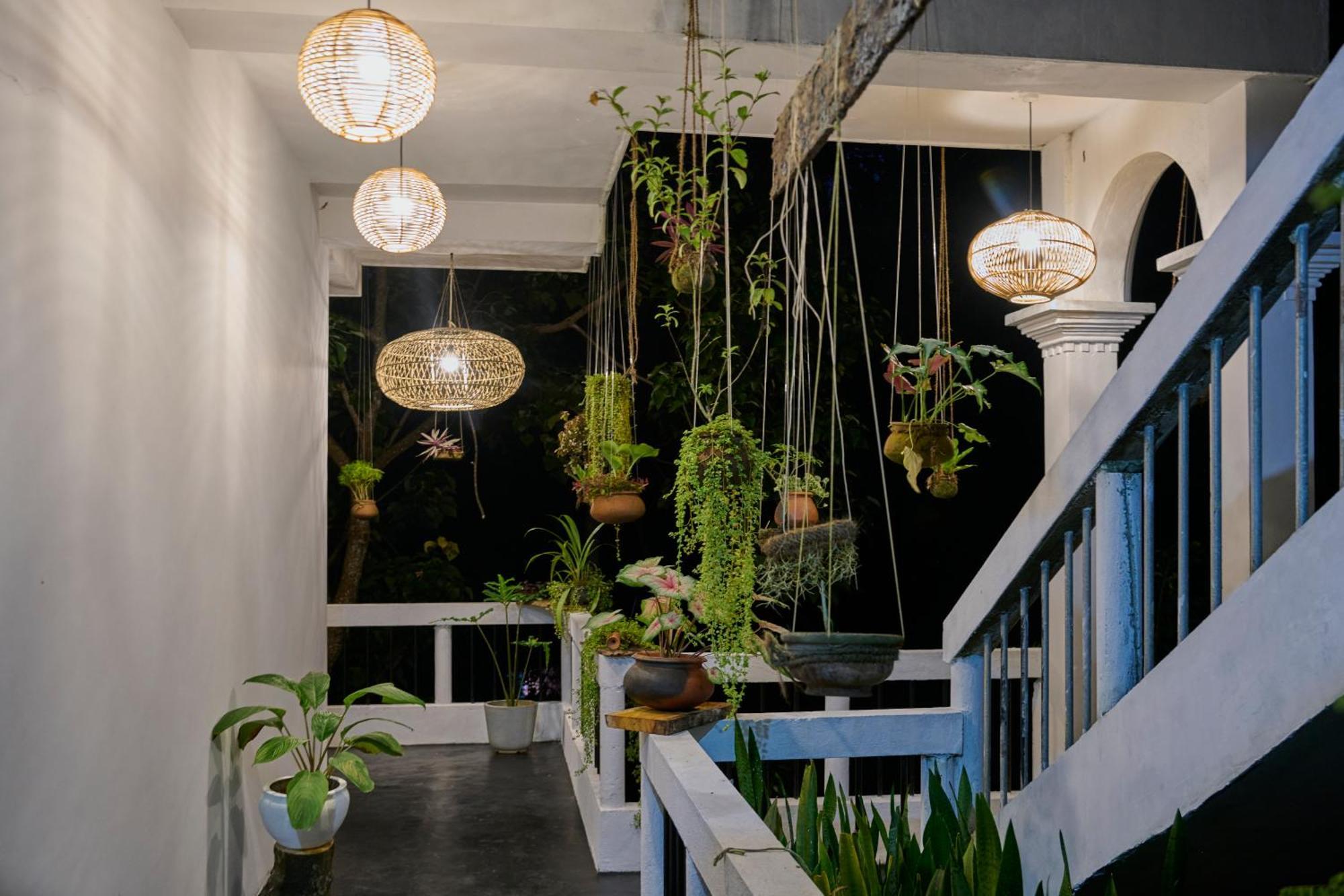 Daasa Guest Mirissa Hotel Ngoại thất bức ảnh