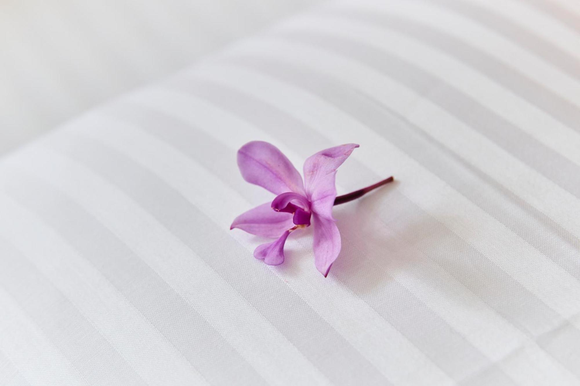 Daasa Guest Mirissa Hotel Ngoại thất bức ảnh