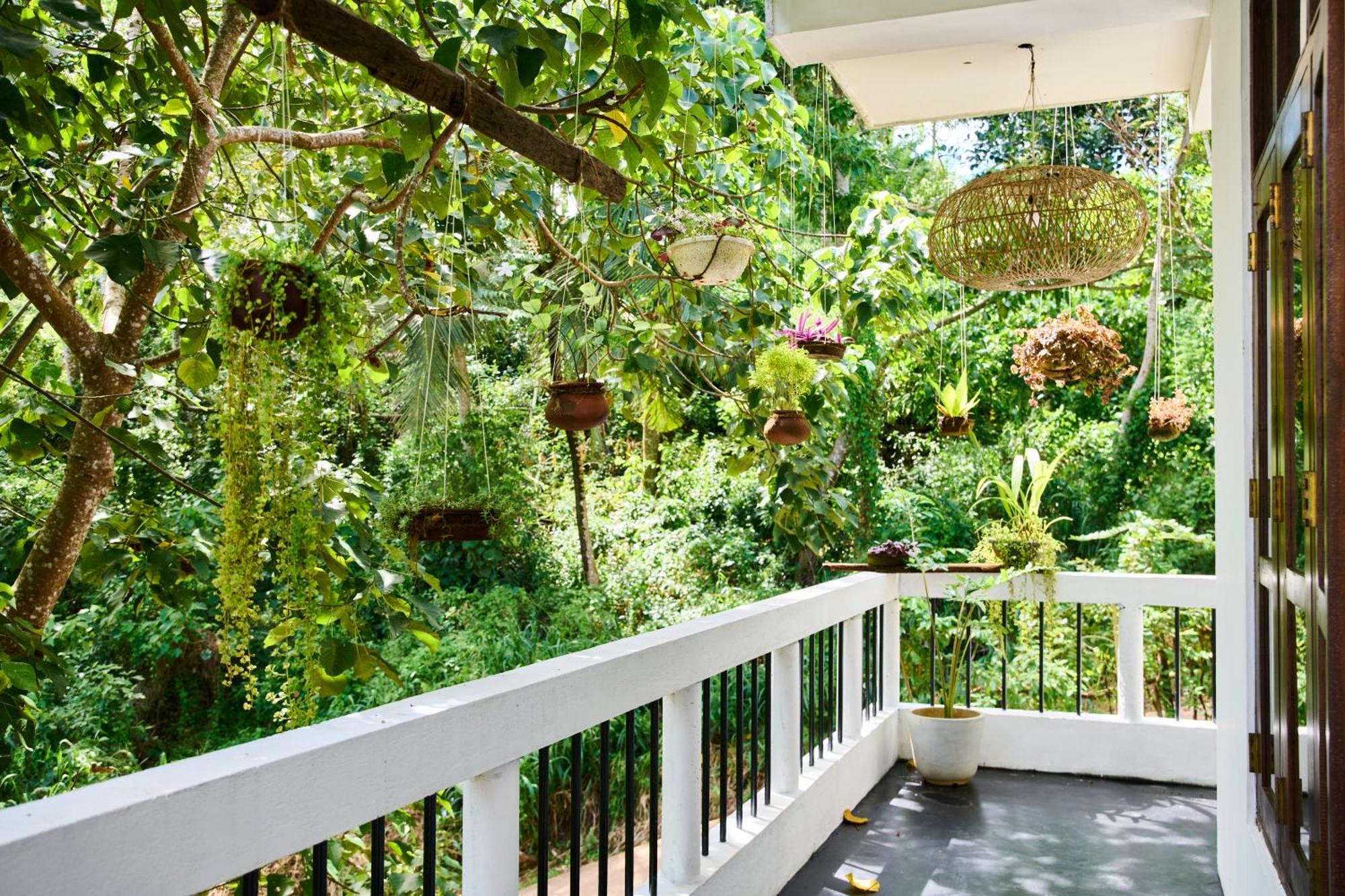 Daasa Guest Mirissa Hotel Ngoại thất bức ảnh