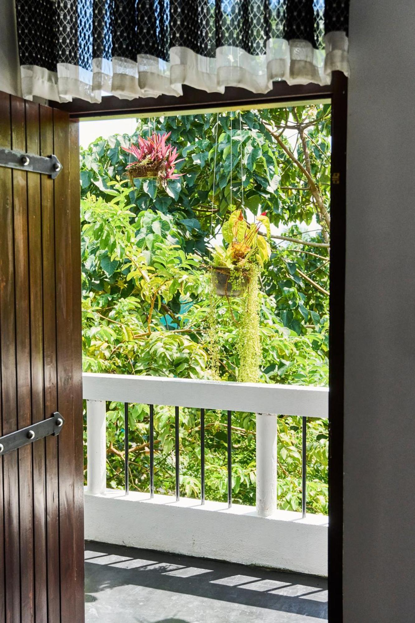 Daasa Guest Mirissa Hotel Ngoại thất bức ảnh